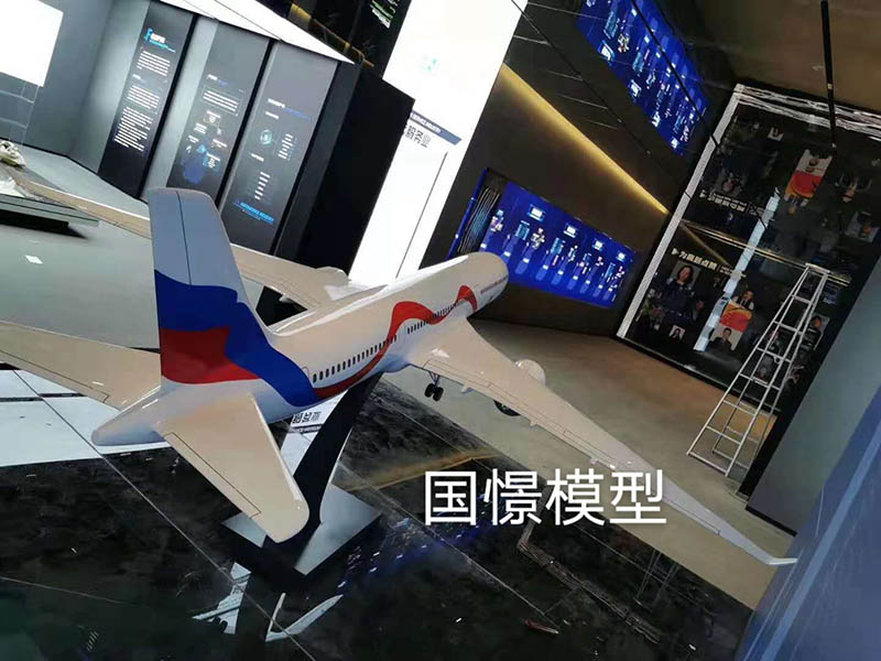 柳州飞机模型